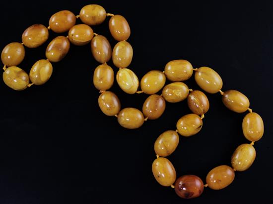 A single strand amber bead necklace, 76cm.